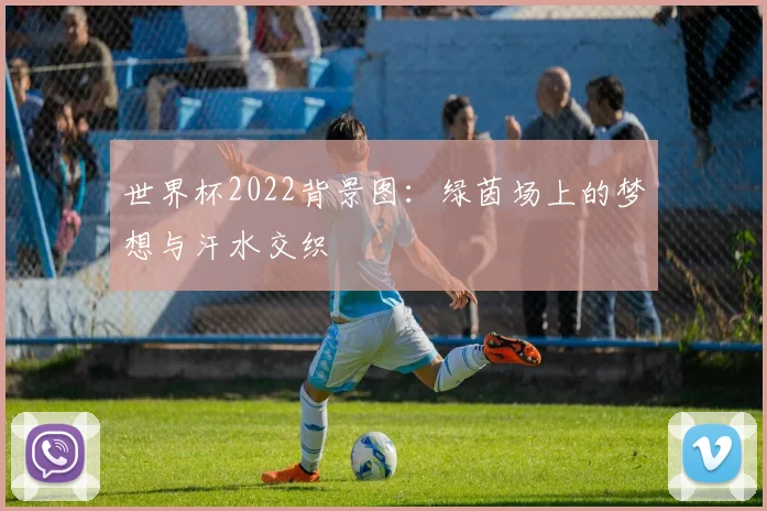 世界杯2022背景图：绿茵场上的梦想与汗水交织