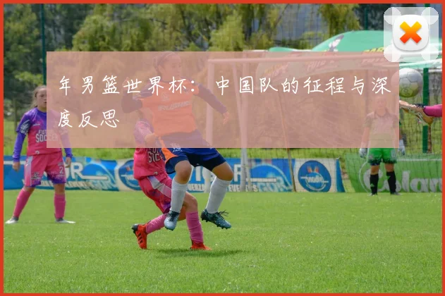 年男篮世界杯：中国队的征程与深度反思